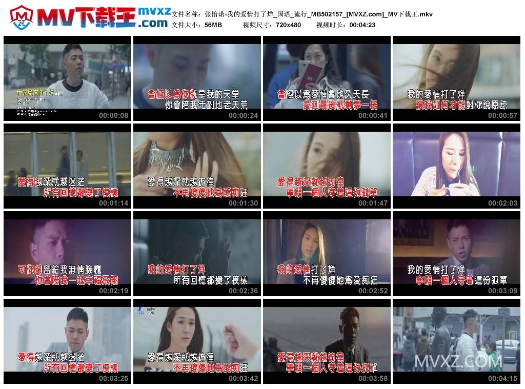 张怡诺-我的爱情打了烊_国语_流行_MB502157